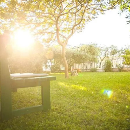 Vikendica House Oaza