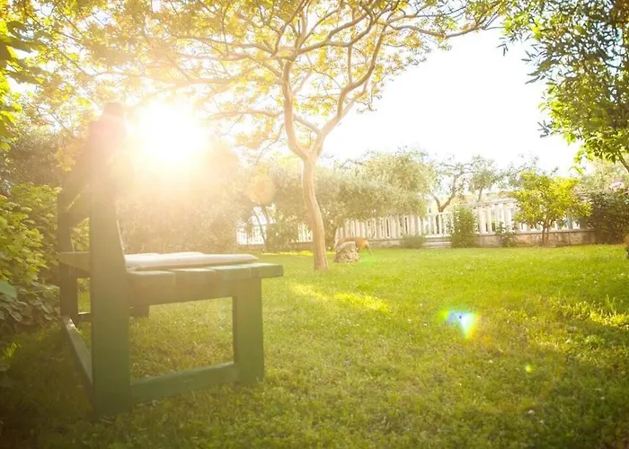 Сasa de vacaciones House Oaza